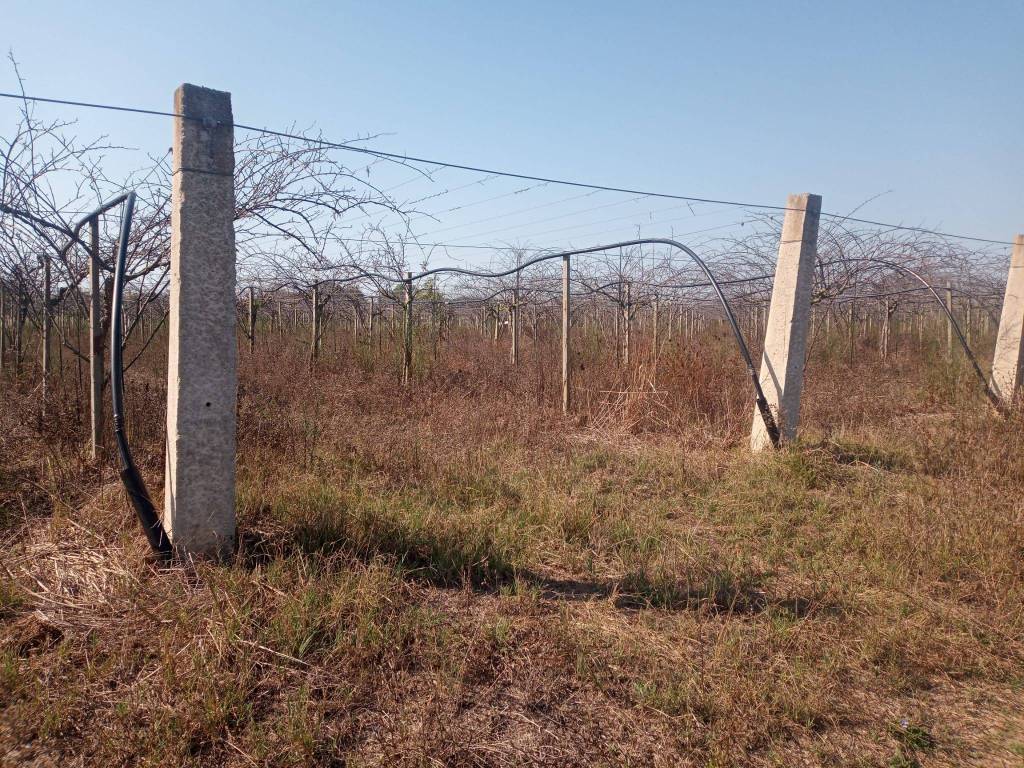 Terreno a Cisterna di latina in Strada Colle del Tufo - Foto 3