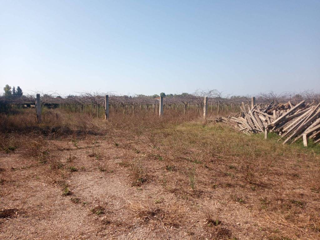 Terreno a Cisterna di latina in Strada Colle del Tufo - Foto 4