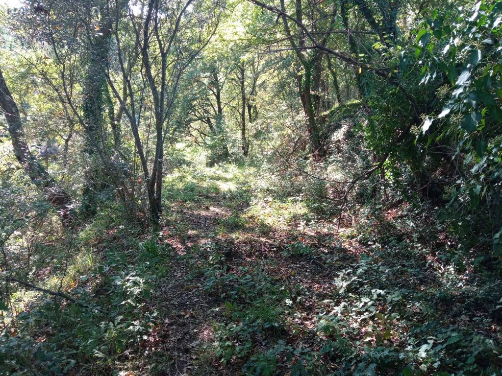 Terreno a Vetralla - Foto 5
