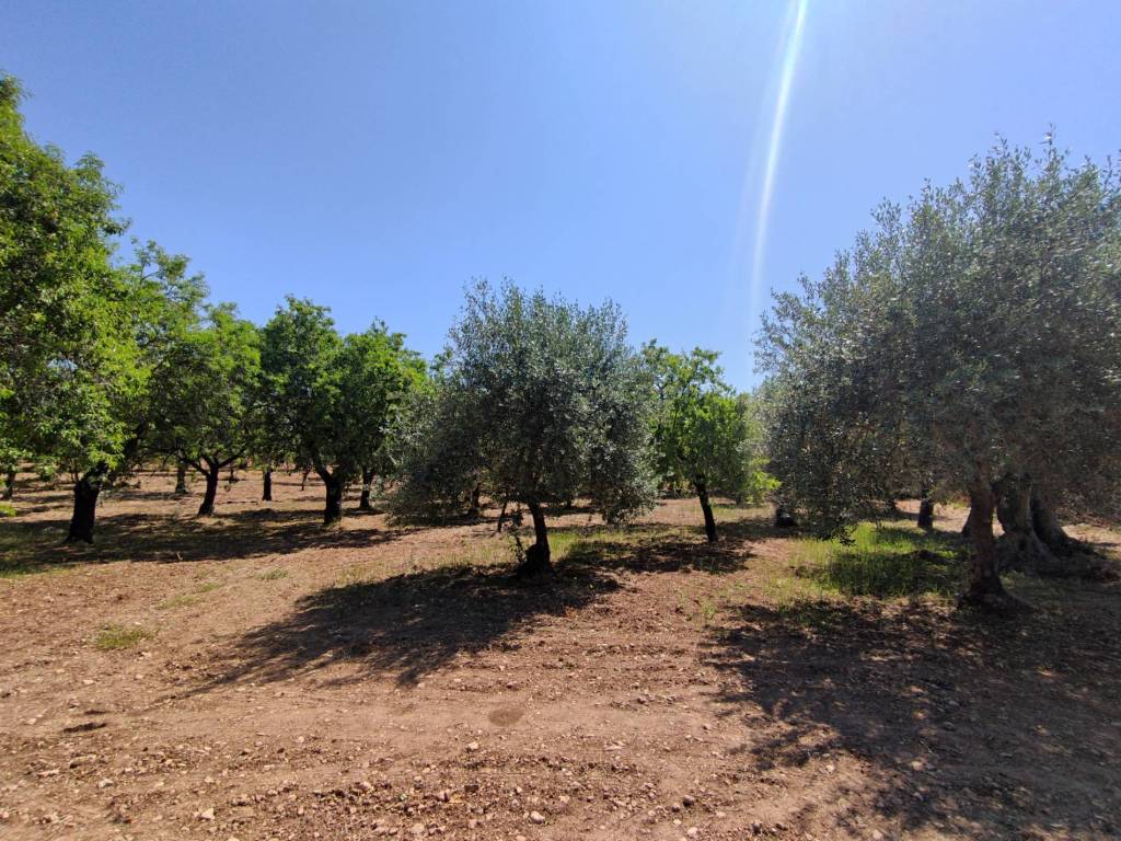 Rustico / casale a Noto in Contrada Volpiglia - Foto 4