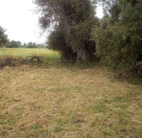 Terreno a Siracusa in Strada Benali - Foto 3