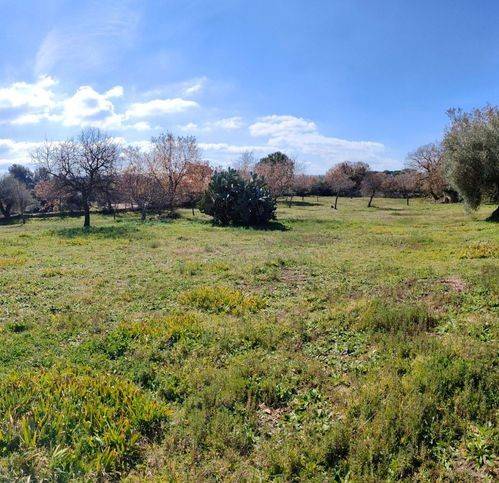 Terreno a Palazzolo acreide in Strada Statale 124 - Foto 4