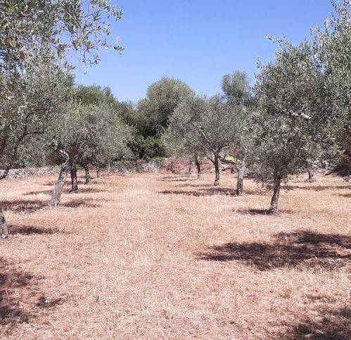Terreno a Canicattini bagni in Strada Provinciale 14 - Foto 2