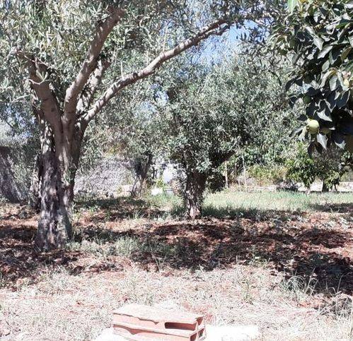 Terreno a Canicattini bagni in Strada Provinciale 14 - Foto 3
