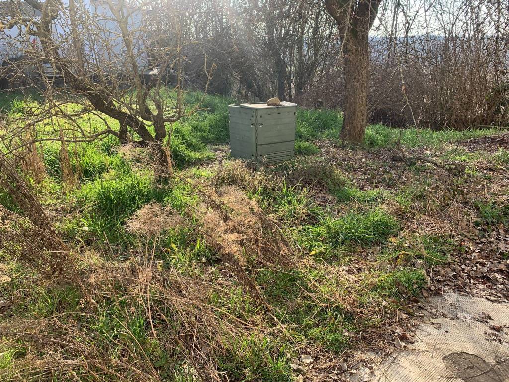 Villa a Predosa in Via Carosio - Foto 4