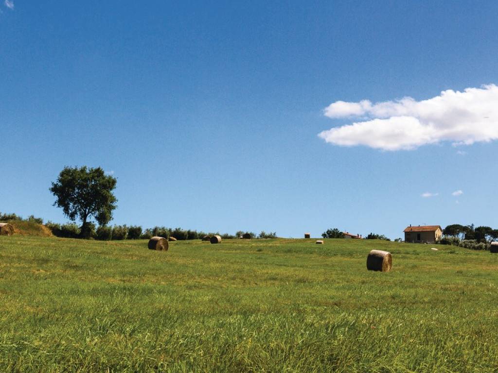 Rustico / casale a Cortona in Montecchio - Foto 5