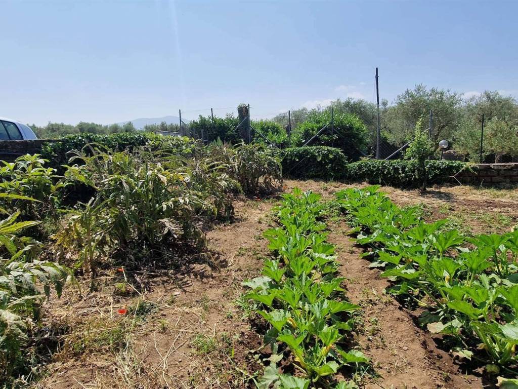 Terreno a Vitorchiano - Foto 3