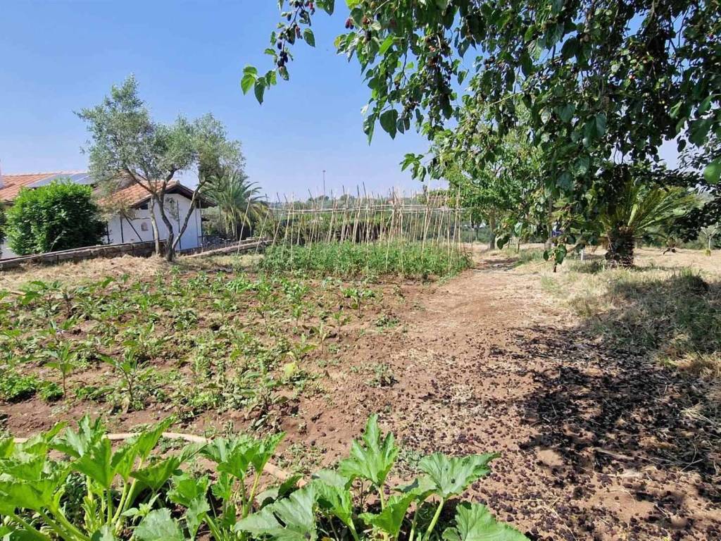 Terreno a Vitorchiano - Foto 4