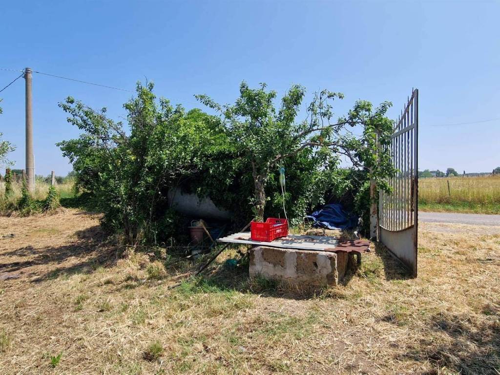 Terreno a Vitorchiano - Foto 5