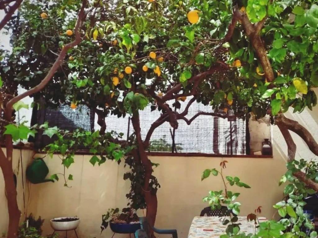 Appartamento a Montecorvino rovella in Via Campania - Foto 2