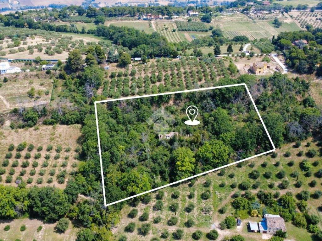 Rustico / casale a Civitanova marche in Strada Vicinale S. Savino, 20 - Foto 2