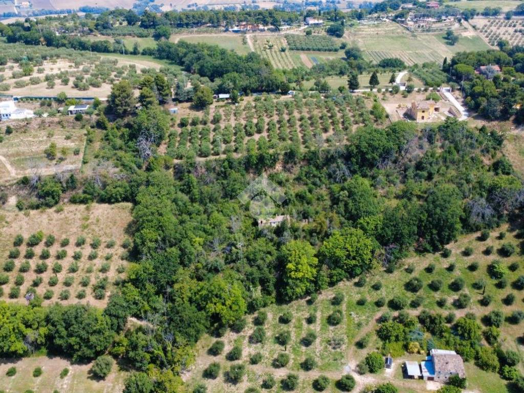 Rustico / casale a Civitanova marche in Strada Vicinale S. Savino, 20 - Foto 5