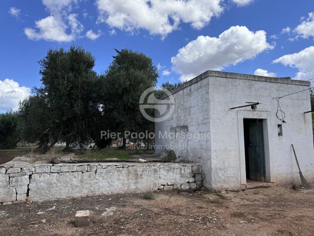 Rustico / casale a Ostuni in Contrada Polinisso - Foto 4