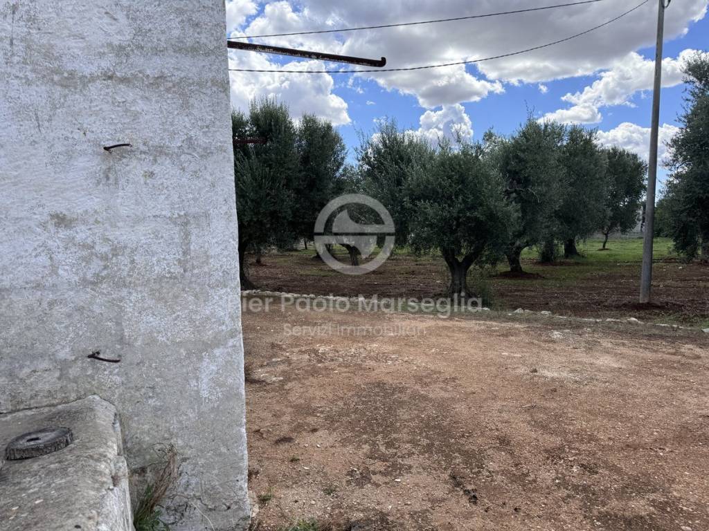 Rustico / casale a Ostuni in Contrada Polinisso - Foto 5