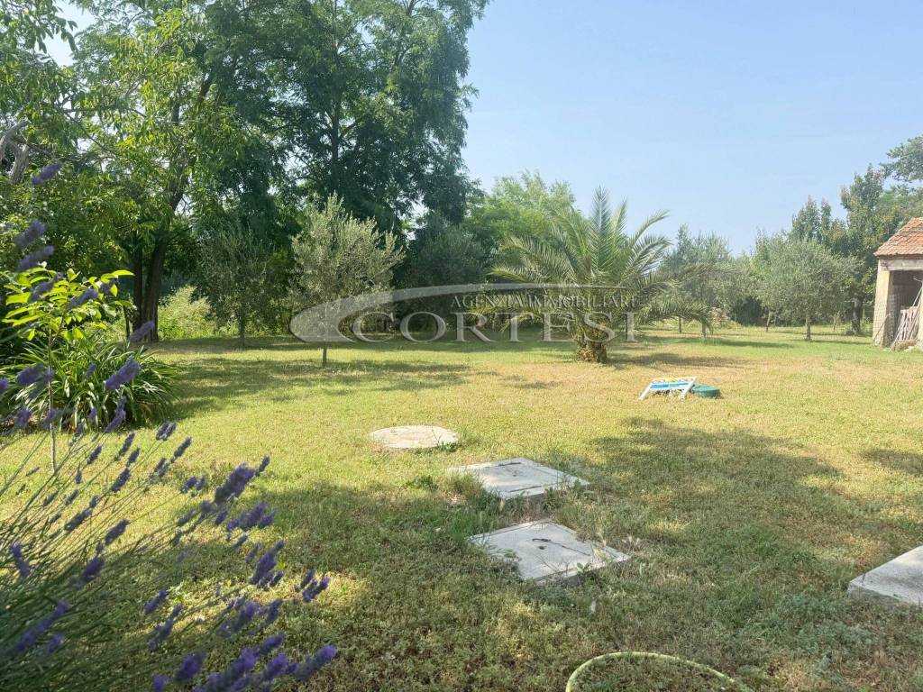 Casa indipendente a Trecastelli - Foto 3