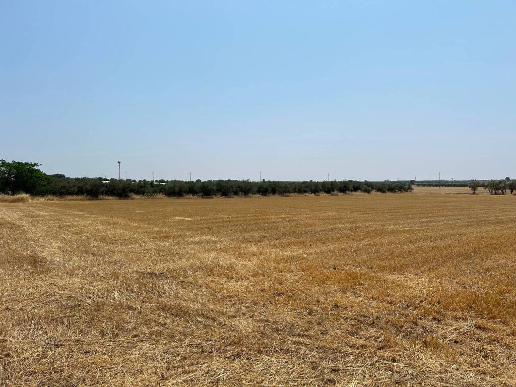 Terreno a Grottaglie - Foto 2