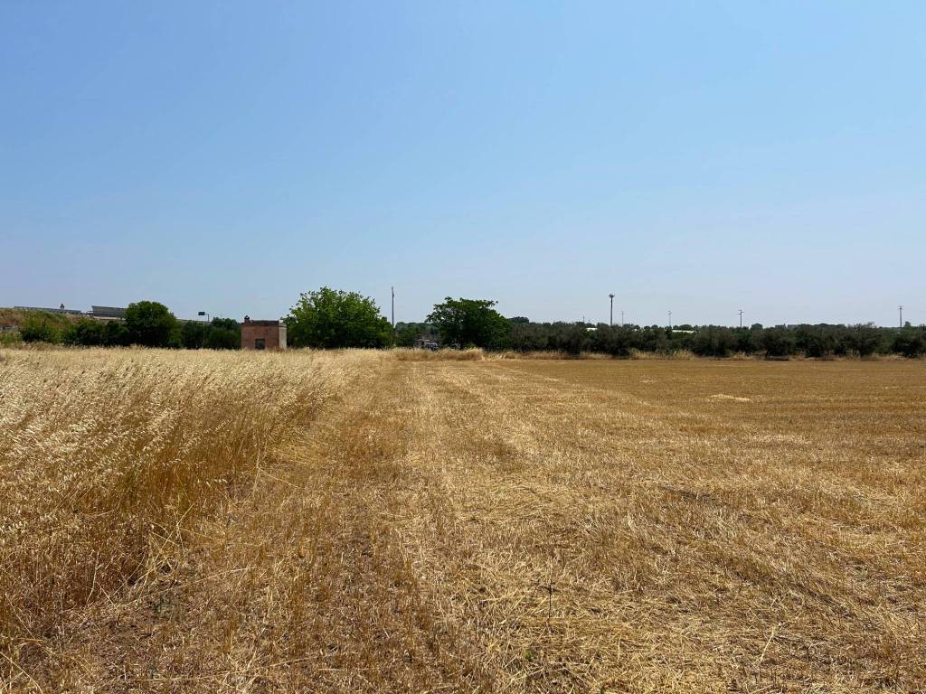 Terreno a Grottaglie - Foto 3