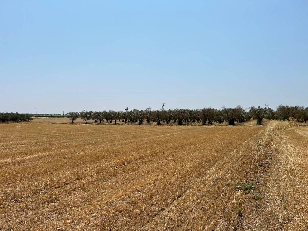 Terreno a Grottaglie - Foto 4