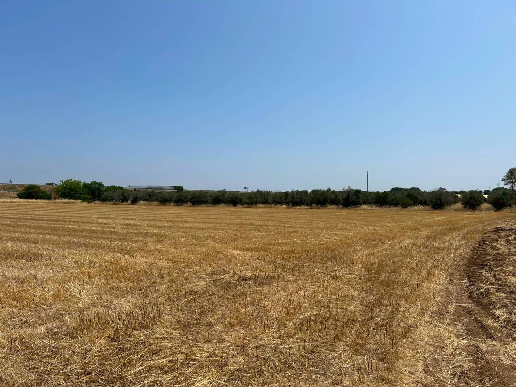 Terreno a Grottaglie - Foto 5