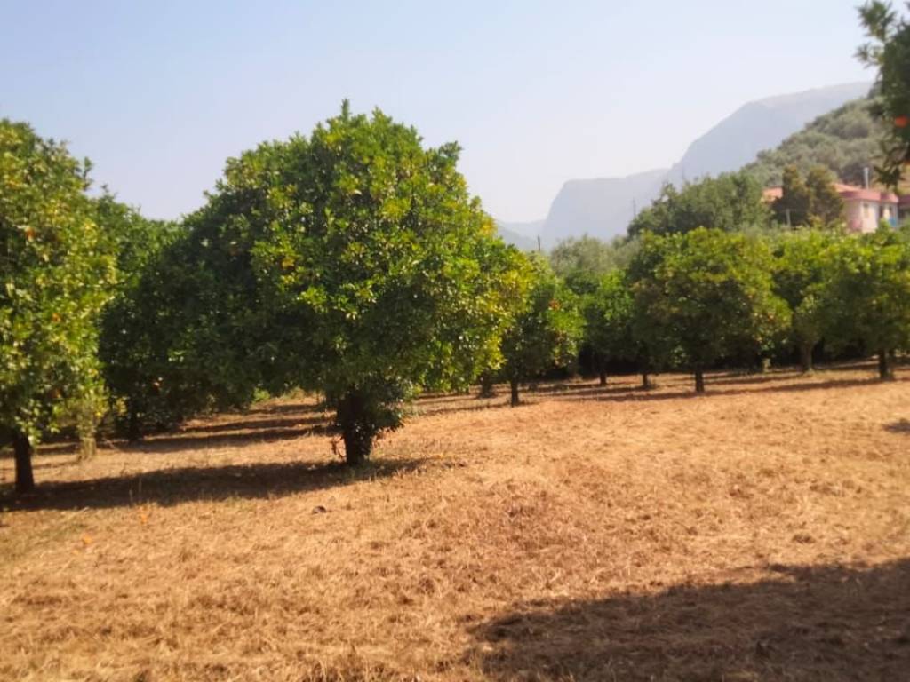 Rustico / casale a Olevano sul tusciano in Via Vittorio De Sica, 11 - Foto 4