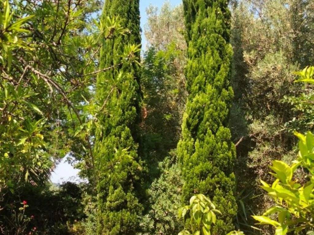 Rustico / casale a Olevano sul tusciano in Via Vittorio De Sica, 11 - Foto 5