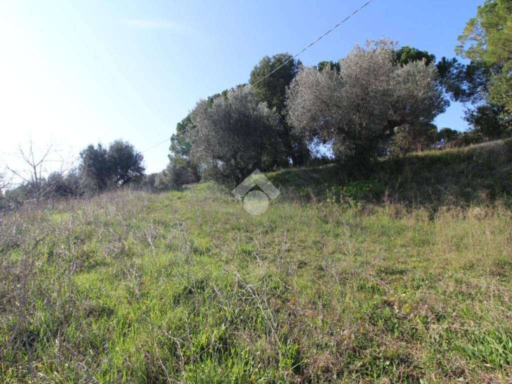 Terreno a Giulianova in Via Paduni - Foto 5