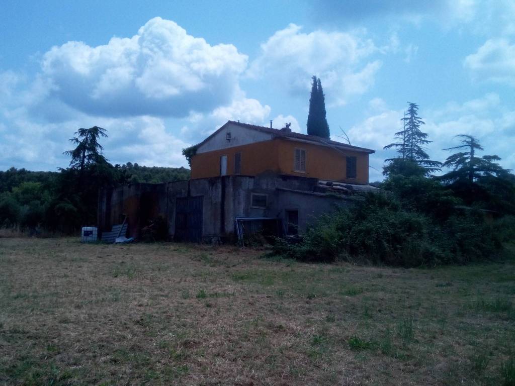 Terreno a Monterotondo marittimo in Strada Regionale della Val di Cornia - Foto 3