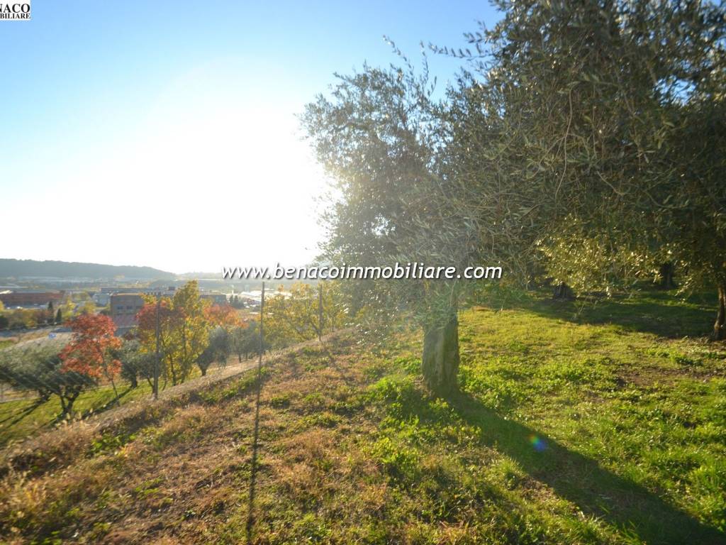 Terreno a Affi in Via Pigno - Foto 2