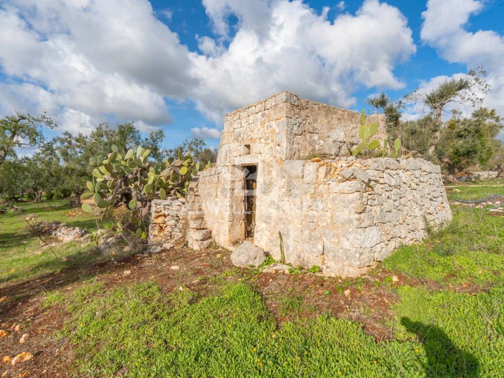 Rustico / casale a Carovigno in Via Gastone Maresca - Foto 5