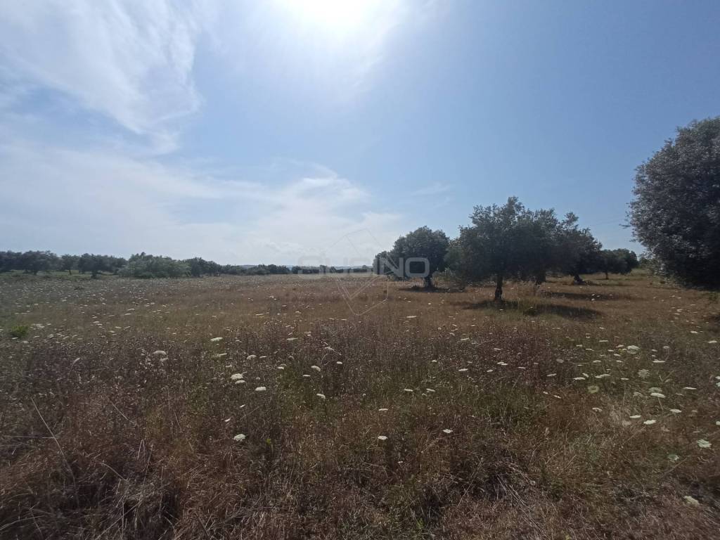 Terreno a Siracusa in STRADA BENALI - Foto 2