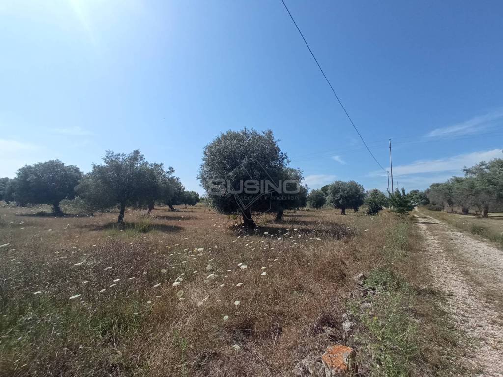 Terreno a Siracusa in STRADA BENALI - Foto 3