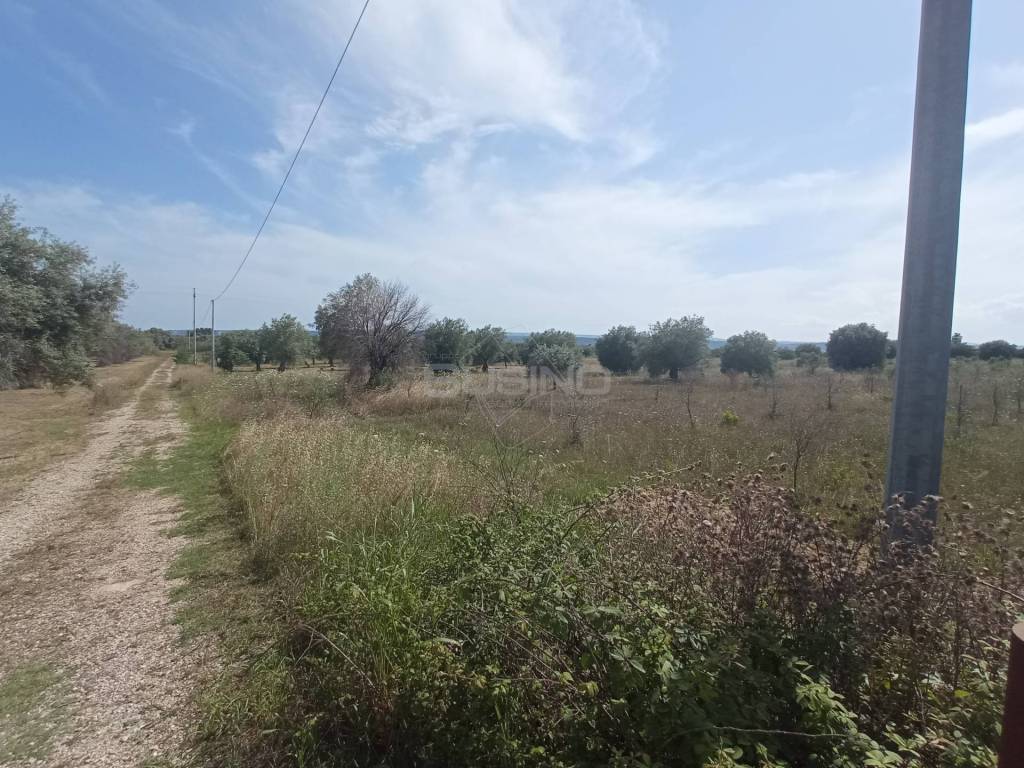 Terreno a Siracusa in STRADA BENALI - Foto 4