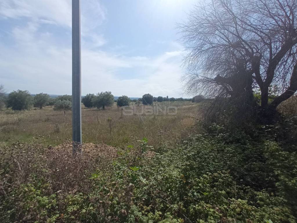 Terreno a Siracusa in STRADA BENALI - Foto 5
