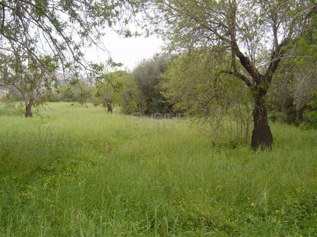Terreno a Siracusa in MONASTERI - Foto 2