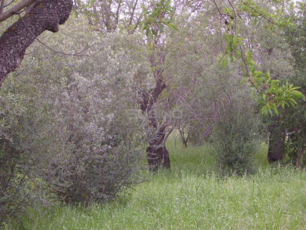 Terreno a Siracusa in MONASTERI - Foto 3