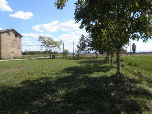Terreno a Carpi - Foto 4