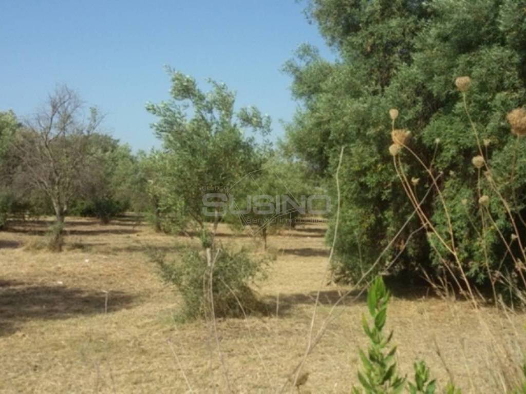 Terreno a Siracusa in TRAVERSA CIFALINO - Foto 4