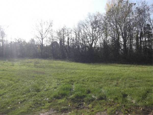 Terreno a Rivergaro - Foto 2