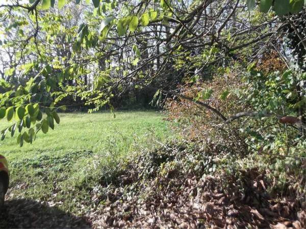 Terreno a Rivergaro - Foto 4