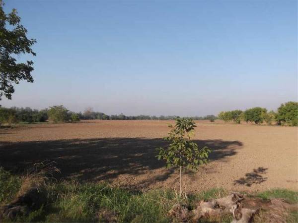 Terreno a Piacenza - Foto 4