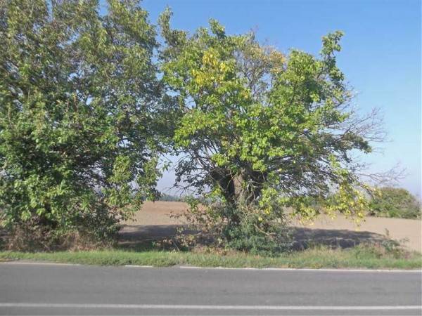 Terreno a Piacenza - Foto 5