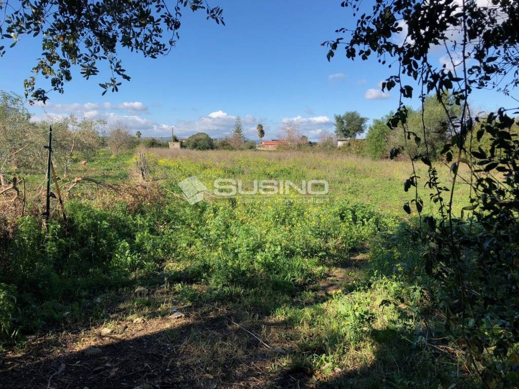 Terreno a Siracusa in TRAVERSA MASSERIA GARGALLO - Foto 2