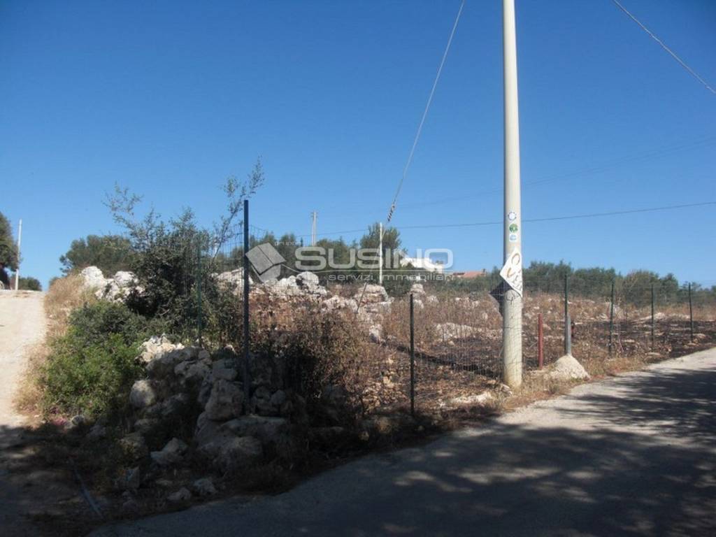 Terreno a Noto in TRAVERSA TESTA MOZZE - Foto 2