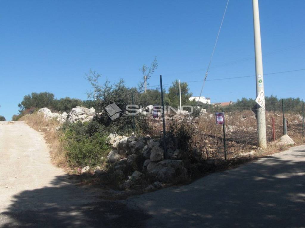 Terreno a Noto in TRAVERSA TESTA MOZZE - Foto 5