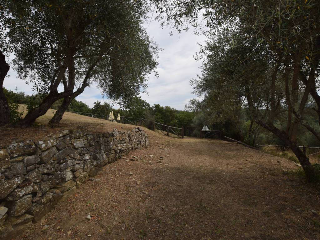 Rustico / casale a Castelnuovo berardenga - Foto 3