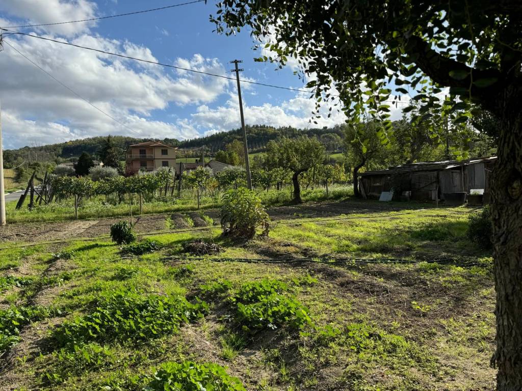 Rustico / casale a Servigliano in Contrada Valli, 1 - Foto 4