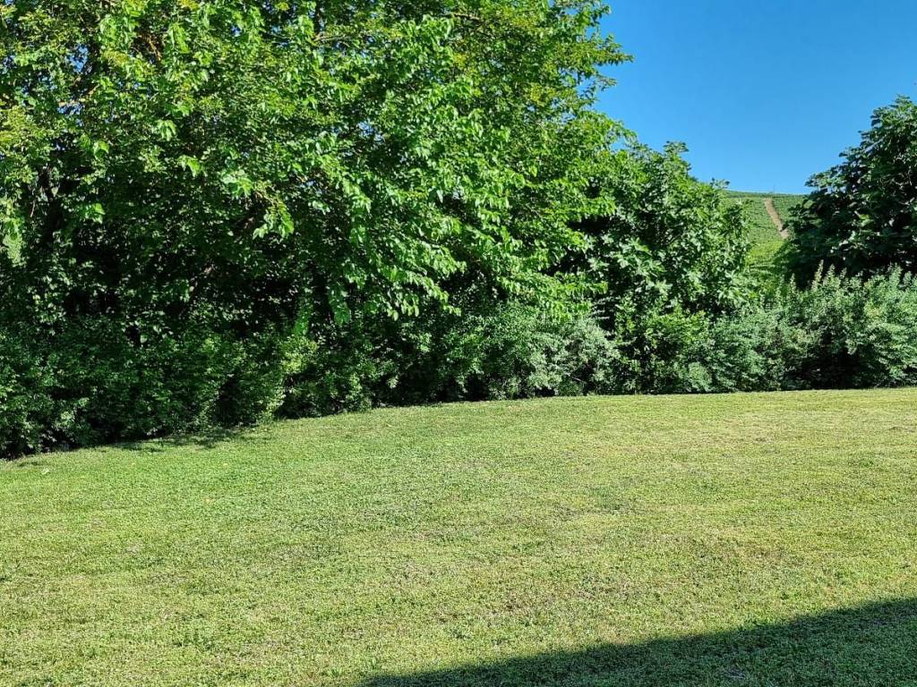 Terreno a Nizza monferrato in SP456 - Foto 5