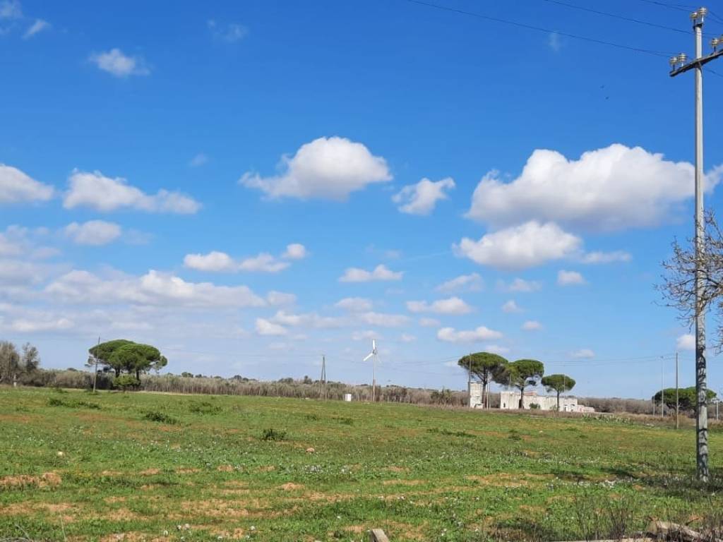 Rustico / casale a Novoli in Via Trepuzzi - Foto 2