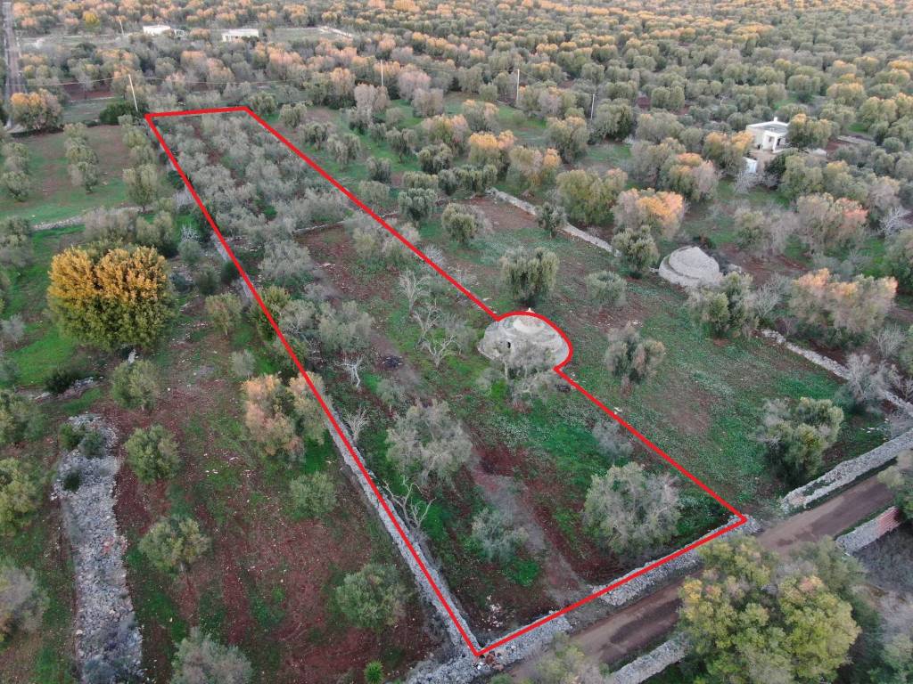 Terreno a Carovigno in Contrada Favone - Foto 4