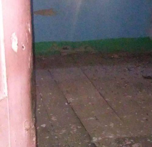 Rustico / casale a Polinago - Foto 4